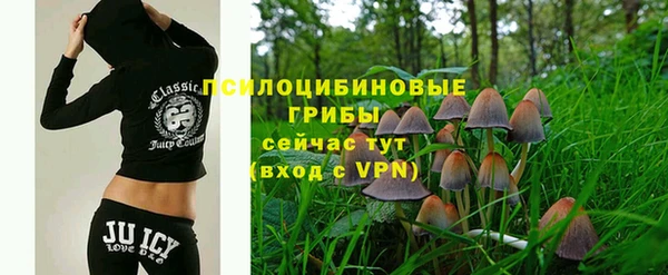мяу мяу мука Волоколамск