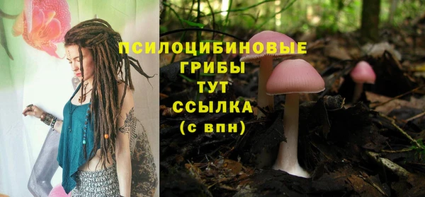 мяу мяу мука Волоколамск